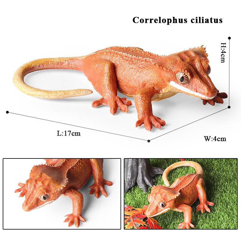 Oenux Simulation Reptile Lizard Chameleon Geckos Insect Animals Model Action Figure Collection Toys Kids Gift Home Decorations