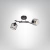 Hortensio Chandelier 2