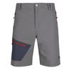 Trespass Shorts Daars