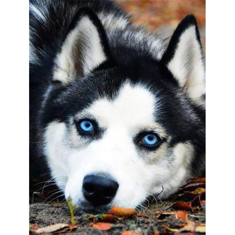 New 5D DIY Diamond Painting Husky Diamond Embroidery Animal Cross Stitch Full Square Round Drill Crafts Home Decor Manual Gift