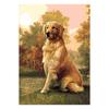 Полный 5D DIY Алмазная картина Большая желтая собака Алмазная вышивка Мозаика Наборы вышивки крестом Домашний декор Подарки ручной работы