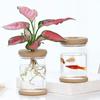 2 шт. креативный прозрачный гидропонный цветочный горшок для выращивания небольших горшечных растений