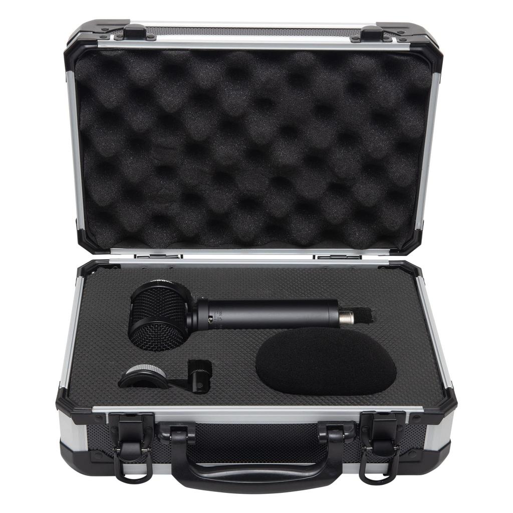 Lauten Audio Front Address Large Diaphragm Condenser Microphone LS-308