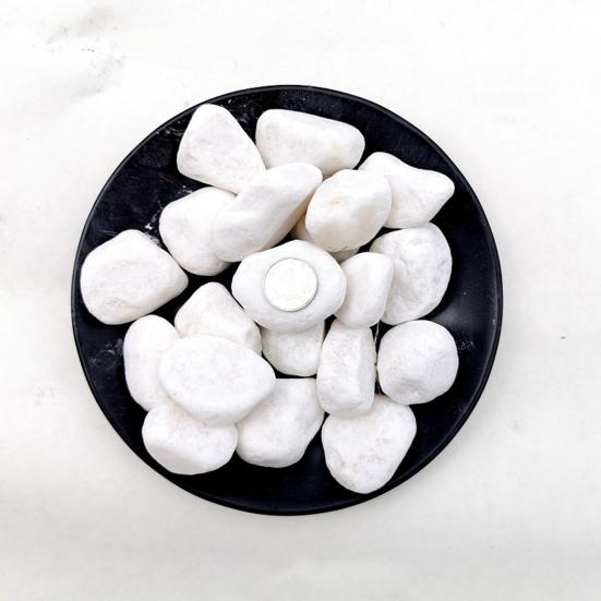 1 Set Stone Decor Multi-use Smooth Surface Natural Irregular Shape Stone Chip Decor for Handicrafts