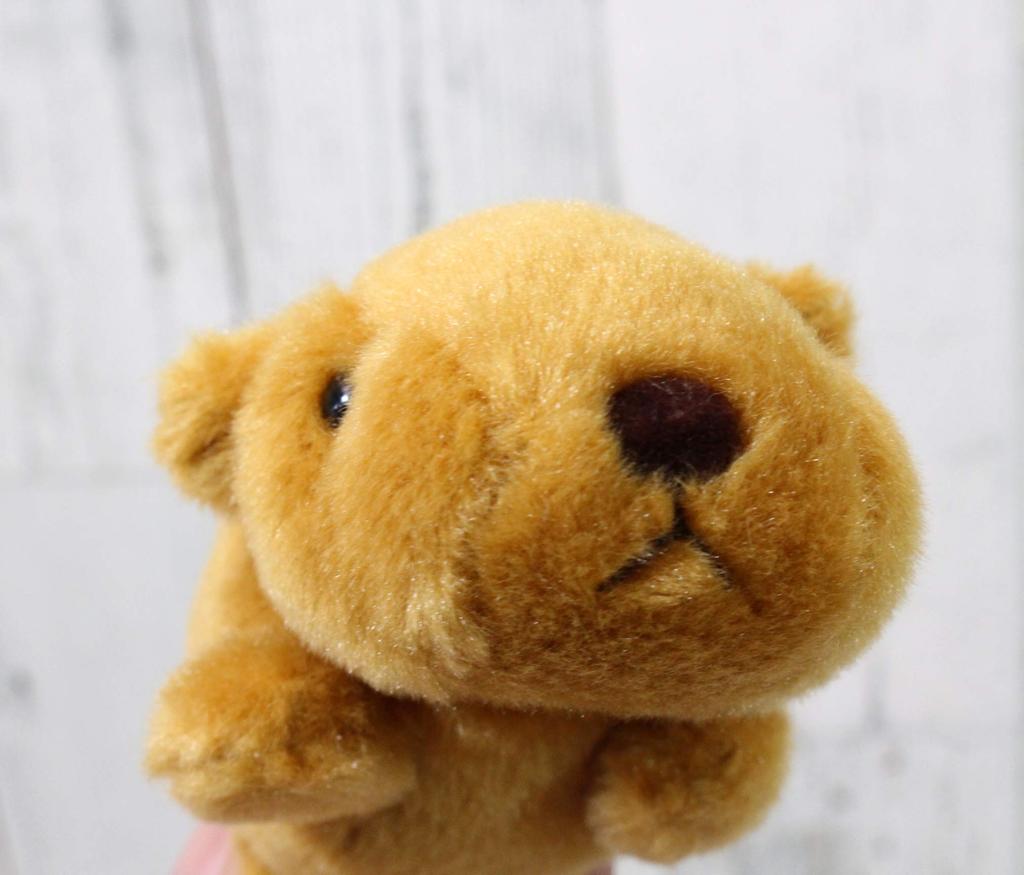 Take Off Safari Magnet Capybara