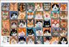 In Beverly 1000 Piece Jigsaw Puzzle Cat Weather X [Made Japan] (49 72cm) 61-461