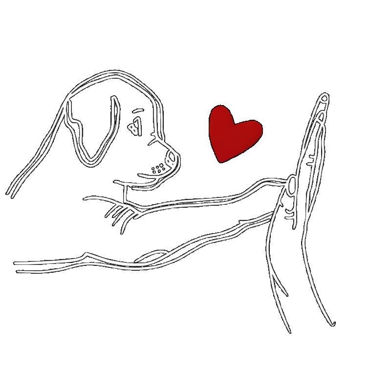 Женская повседневная футболка черного цвета с графическим принтом собаки и сердца для повседневной носки и любителей домашних животных