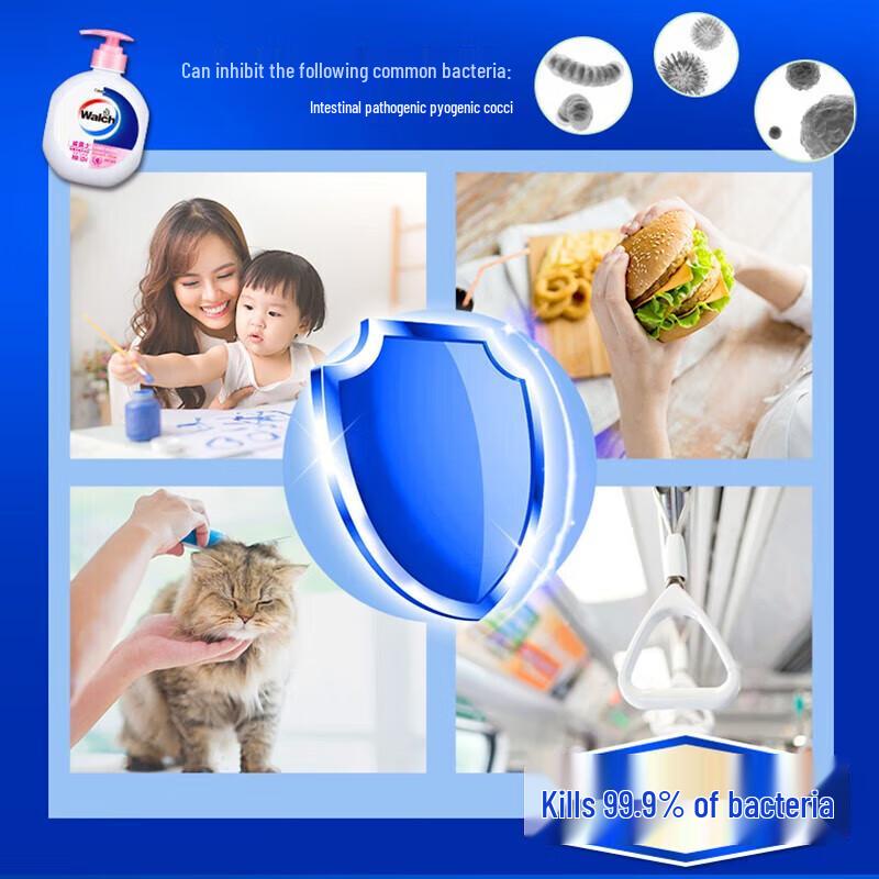 Walch Healthy Antibacterial Hand Wash