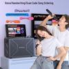 SANSUI C2 Home Karaoke KTV System (CN version)