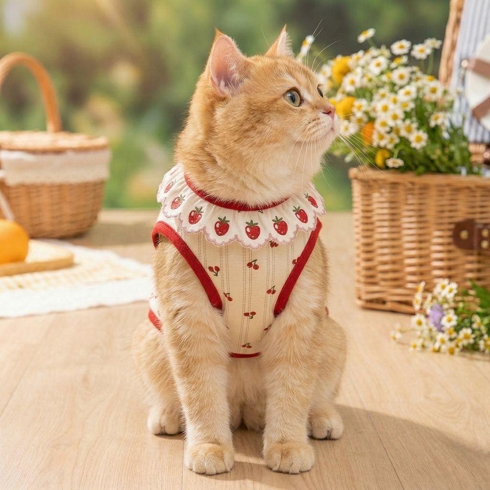 Cherry Pattern Cat Strawberry Vest Breathable Summer Pet Clothes Cat Lace Vest Photo Shoots