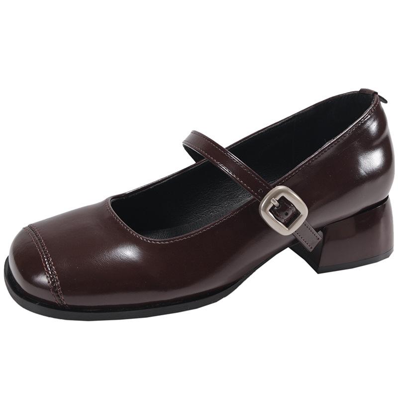 Fashion Temperament French Brown Thick Heel Small Leather Shoes Women's 2025 New Spring and Autumn with Skirt Shallow Mouth Mary Jane Single Shoes
