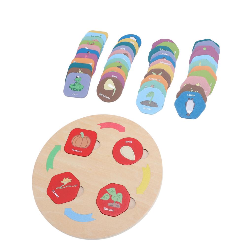 Wooden Life Cycle Toy Tray for Toddlers Educational Science Learning Activities Sorting Matching