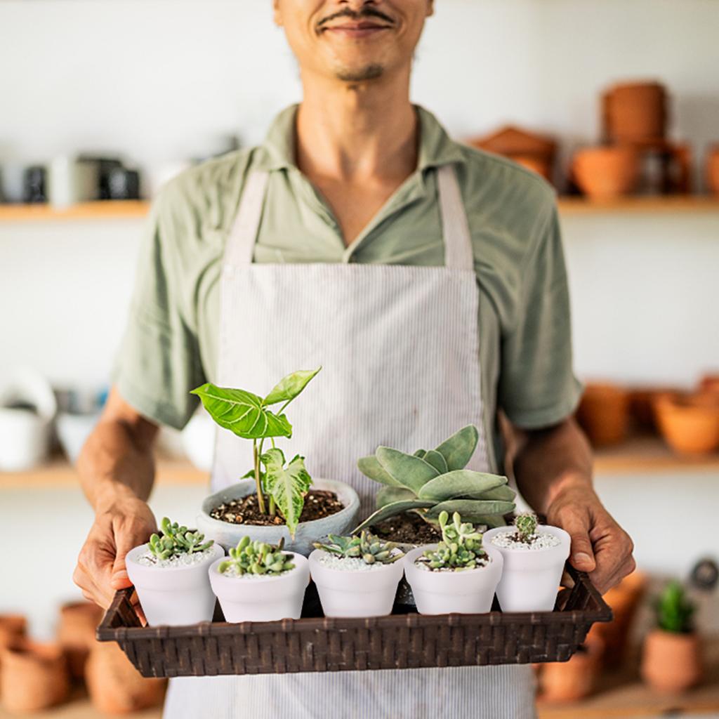 20 шт. 5,5 см WeißEr Tontopf FüR Pflanze Терракотовый Pflanztopf Mit Drainageloch Topf WeißE Terrakotta-TöPfe SukkulententöPfe Klei