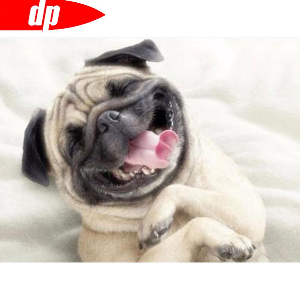 5D Алмазная вышивка Восход Пейзаж Вышивка крестиком Алмазная вышивка животное полная квадратная дрель изображение горный хрусталь домашний декор