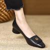 Women Pumps New 2025 Fashion Pointed Shallow Low Heel Single Shoes for Women Simple Casual PU Leather Shoes Commuter Party Shoes