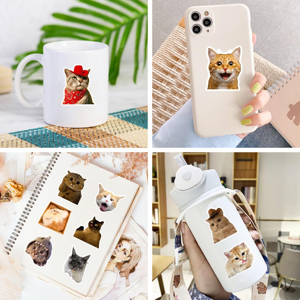50PCS Realistic Cat Stickers, Cute Dumbfounded Expression Decals for Water Bottle, Notebook & Journal