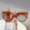Cat Eye Sunglasses Women New Fashion Vintage Multicolor Casual Sun Glasses Trendy Luxury Brand Design Decor Shades