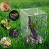 Reptile Feeding Box Acrylic Transparent Terrarium Habitat Insect Spider Lizard Scorpion Bearded Dragon Breeding Arboreal Cage