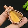 Picture Jasper Handmade Copper Wire Wrap Jewelry Pendant 2.36 d1D84