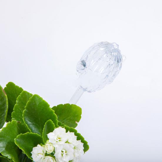 Yousheng Cactus Watering Globes Plant Self Watering Bulbs Transparent Automatic Watering Globes for Indoor Outdoor Plants Home Gardening