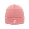 Kangol 2978bc Pepto Cuff Pull On Acrylic Beanie