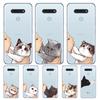 Cat Don't Kiss Me For LG K92 K52 K62 K22 K71 K61 K51S K41S G8 G8S G8X V35 V50 V40 V50S V60 Q60 Phone Case