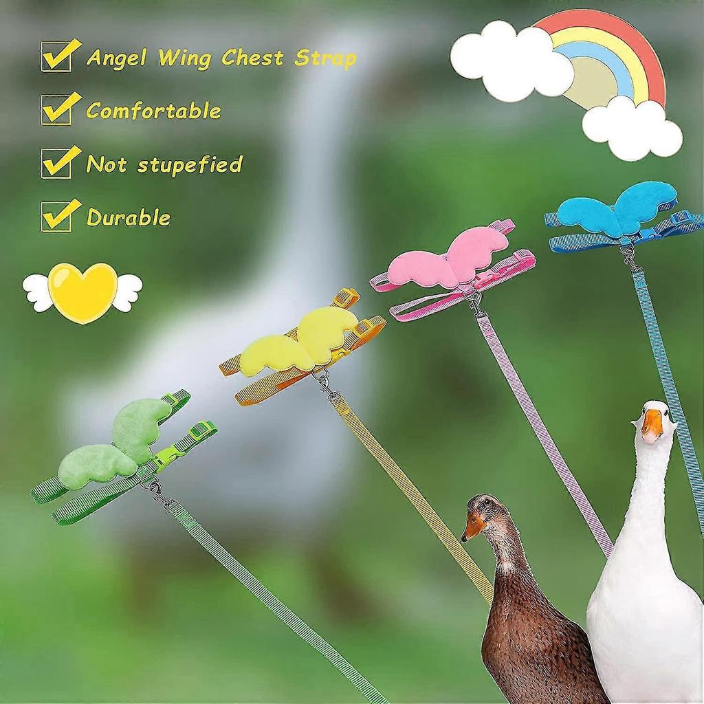 4pcs pet duck outdoor walking belt, hen skin belt, adjustable outdoor training leash, chicken, goose, hen