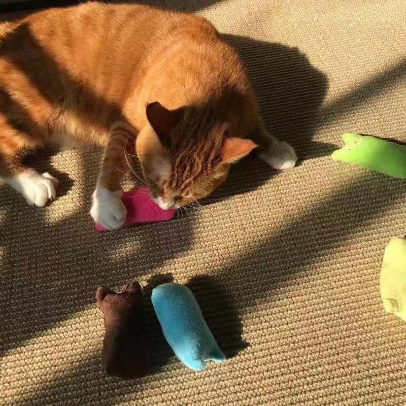 Практичная игрушка для кошек с молярами, милая, забавная, интерактивная, плюшевая, жующая, издающая звуки, подушка для большого пальца, аксессуары для котят