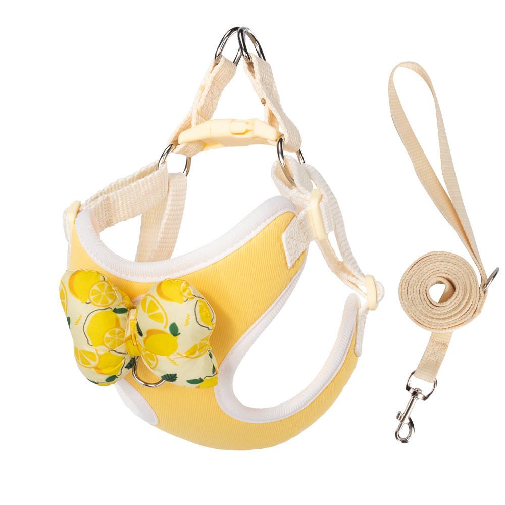 Dog Traction Rope With Bowtie Fabric Non Extensible For Walking And Training