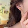 Серьги-гвоздики из серебра S925 с покрытием 18 карат, с разноцветными цирконами, в форме цветка: Стиль дофамина, Легкая роскошь, Универсальный, Изящно разработанный.