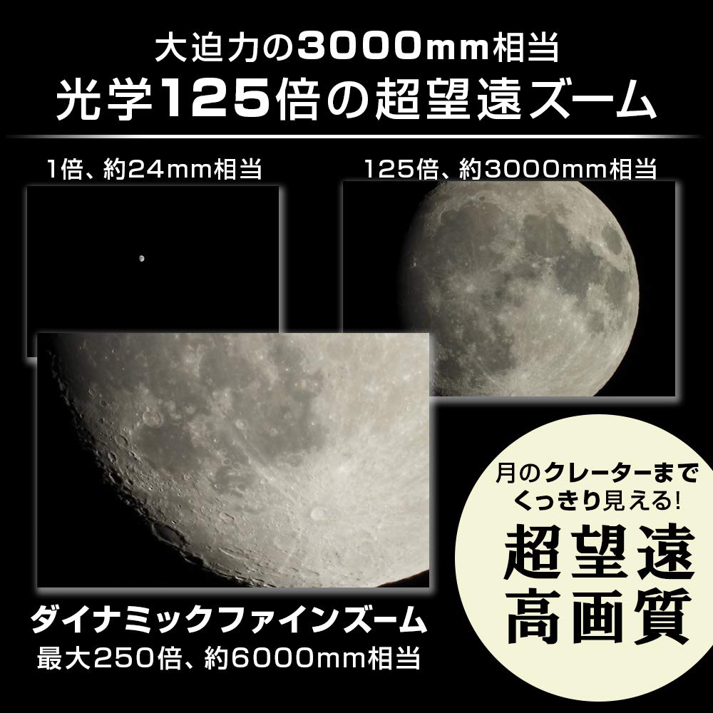 Nikon Цифровая камера COOLPIX P1000 Черная
