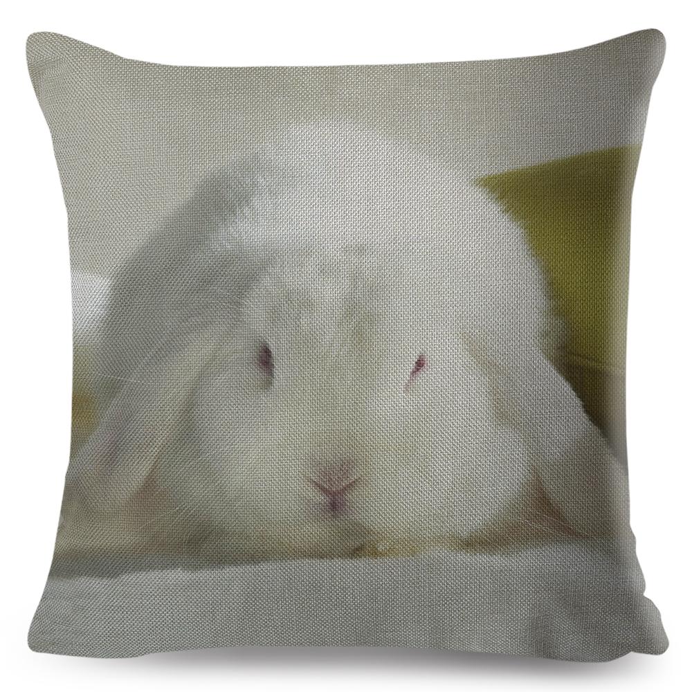 High Resolution Animal Photography Print Cushion xcm Realistic Rabbit Imagery Soft Natural Lighting Gentle Color Palette