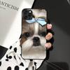 Чехол для телефона с изображением щенка ши-тцу Shitzu для iPhone 11 12 13 mini pro XS MAX 8 7 6 6S Plus X 5S SE 2020 XR