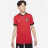 Детская летняя дышащая простая футбольная майка Nike Dri-FIT для мальчиков FJ4371-65