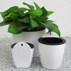 Sagit Automatic Water Absorption Lazy Flower Pot Water Culture Wall Hanging Basin