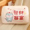 Student Autumn And Winter Dual-Purpose Hand Warmer Throw Pillow Hand Warmer Cover Can Be Inserted Into The Pillow Office Plush Lunch Break Pillow