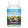 Source Of Life, Animal Parade, Children's Immune Booster, Natural Tropical Berry Flavor, 90 Count