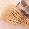 50 шт. Натуральные Сушеные Колосья Пшеницы DIY Поделки Сушеные Цветы Сушеные Стебли Пшеницы Украшение для Дома и Кухни