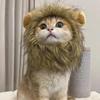 Кошка Косплей Одевание Шляпа для питомца Львиная грива для кота Щенок Львиный парик Костюм Украшения для вечеринки Хэллоуин Рождество GatosPet Supplies