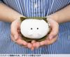 Ippinsha Mochitto Wagashi-san Ball Chain Mascot Mitarashi Dango Gift 48056