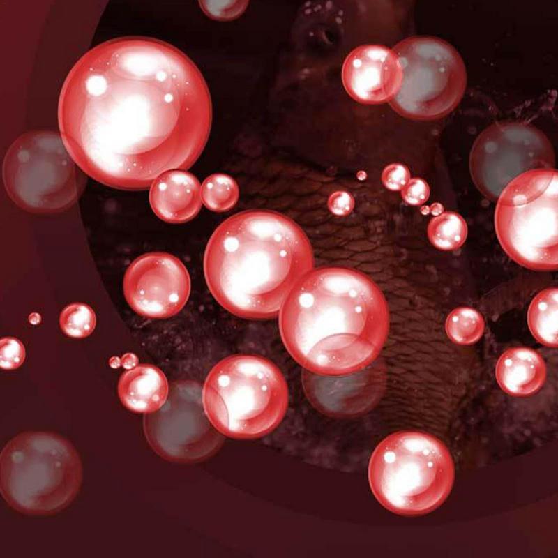 60ML Liquid Blood Worm Scent Fish Attractant Concentrated Red Worm Liquid Fish Bait Additive Perch Catfish Fishing Accessories