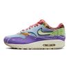Nike Air Max 1 Sp Concepts Far Out Обычная коробка DN1803-500
