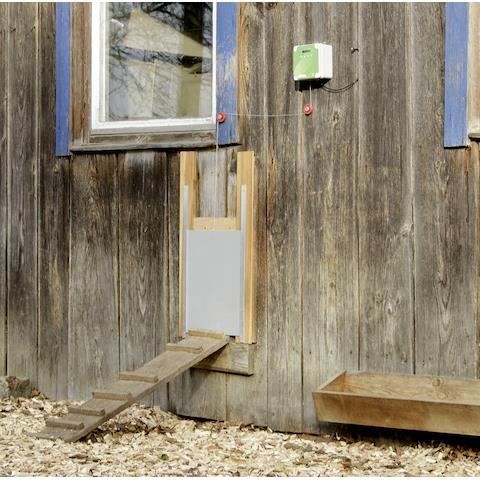 Porte automatique pour poulets - kerbl - vert - 24 x 16 x 11 cm - extérieur - 10 animaux