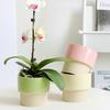 Простой красочный цветочный горшок, сочный горшок, керамический горшок, домашний декор, настольные украшения, бонсай, горшок, украшение сада