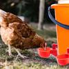 6 x Красные пластиковые автоматические поилки для птиц, кур, домашней птицы, курятника 10,5x4 см