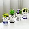 New Mini Doll Cute Flower Pot Plant Pot Ceramic Succulent Potted Creative DIY Toys Science Education Gift Home Décor