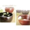 Ase Shinzo Shoten Ase Shinzo Ladle Curved Ladle No. 12 F1318