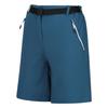 Regatta Womens/Ladies Xert III Stretch Shorts
