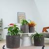 Single Handmade Ceramic Plant Pot diameter 37 cm, Glossy Grey with Herringbone Relief, Breathable, Frost-Resistant