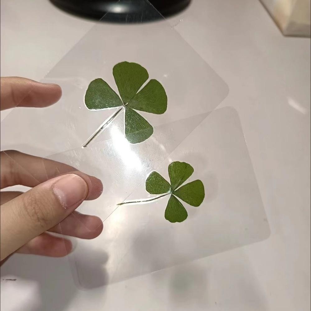 5Pcs Lucky Clover Postcards Natural Grass Transparent Wishing Cards Ideal for Bookmarks Decorations Reading Aid Bookmarks